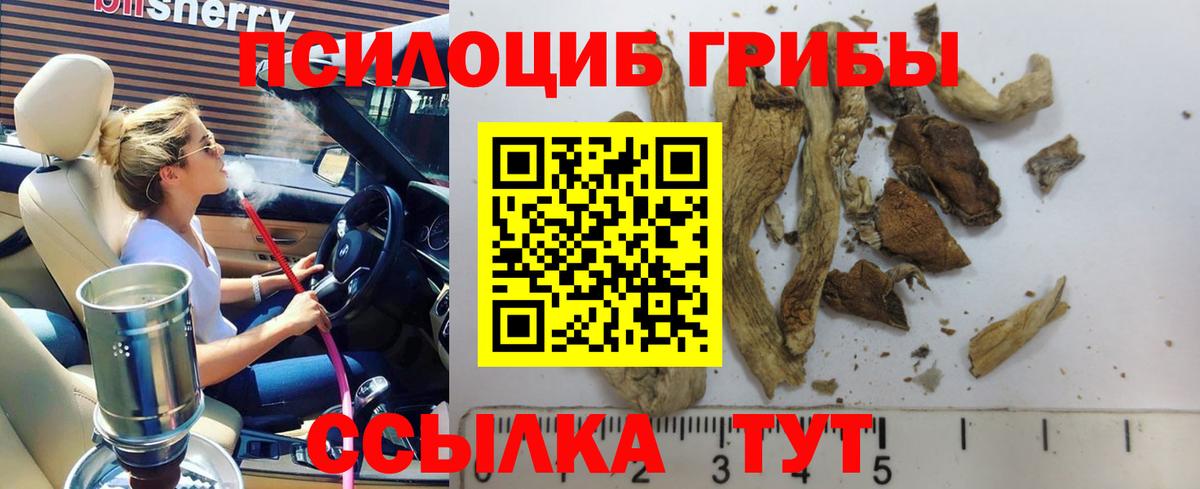 Галлюциногенные грибы мухоморы Нововоронеж